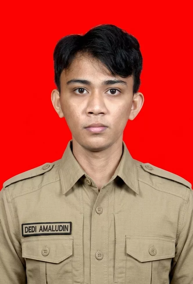 Dedi Amaludin, S.Pd.